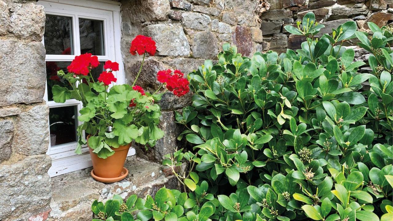 Manoir De La Begaudiere Mont-Dol Екстериор снимка